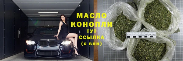 гидра Няндома