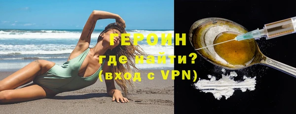 гидра Няндома