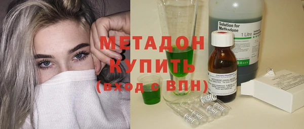гидра Няндома