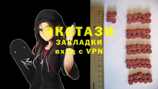 гидра Няндома