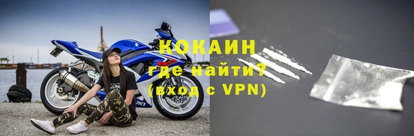 гидра Няндома
