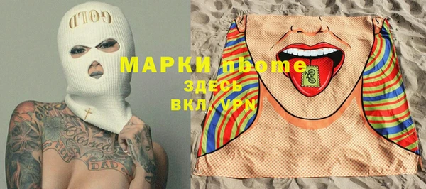 гидра Няндома