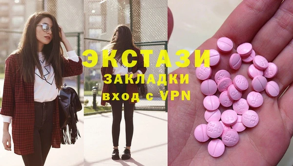 гидра Няндома