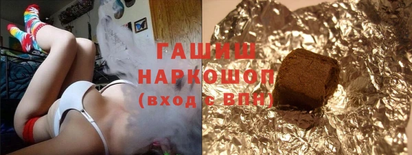 гидра Няндома