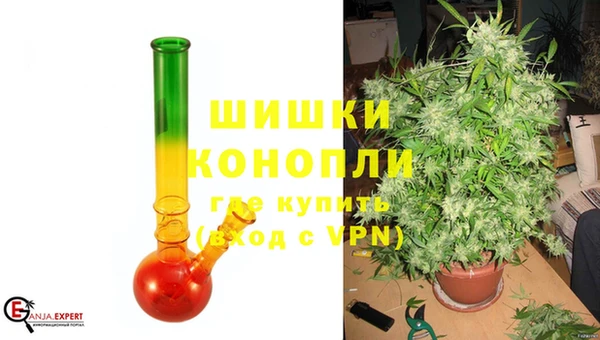 гидра Няндома