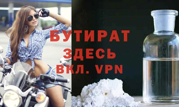 гидра Няндома