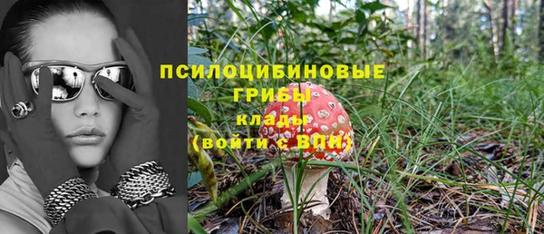 гидра Няндома