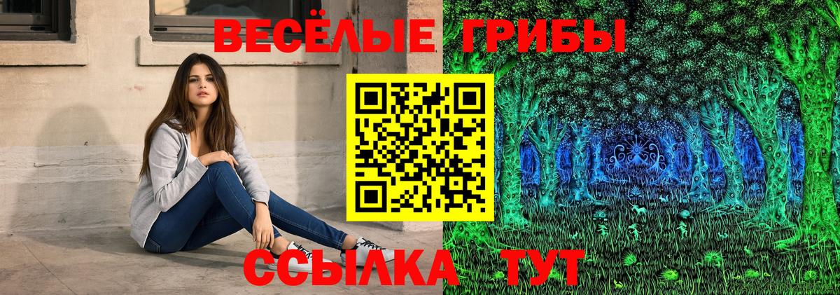 Кимры  Галлюциногенные грибы Magic Shrooms  магазин продажи наркотиков  Вход с VPN 